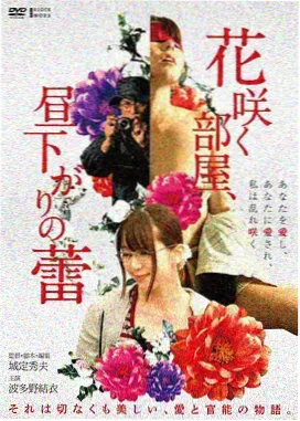 编辑私藏悬疑作品封面